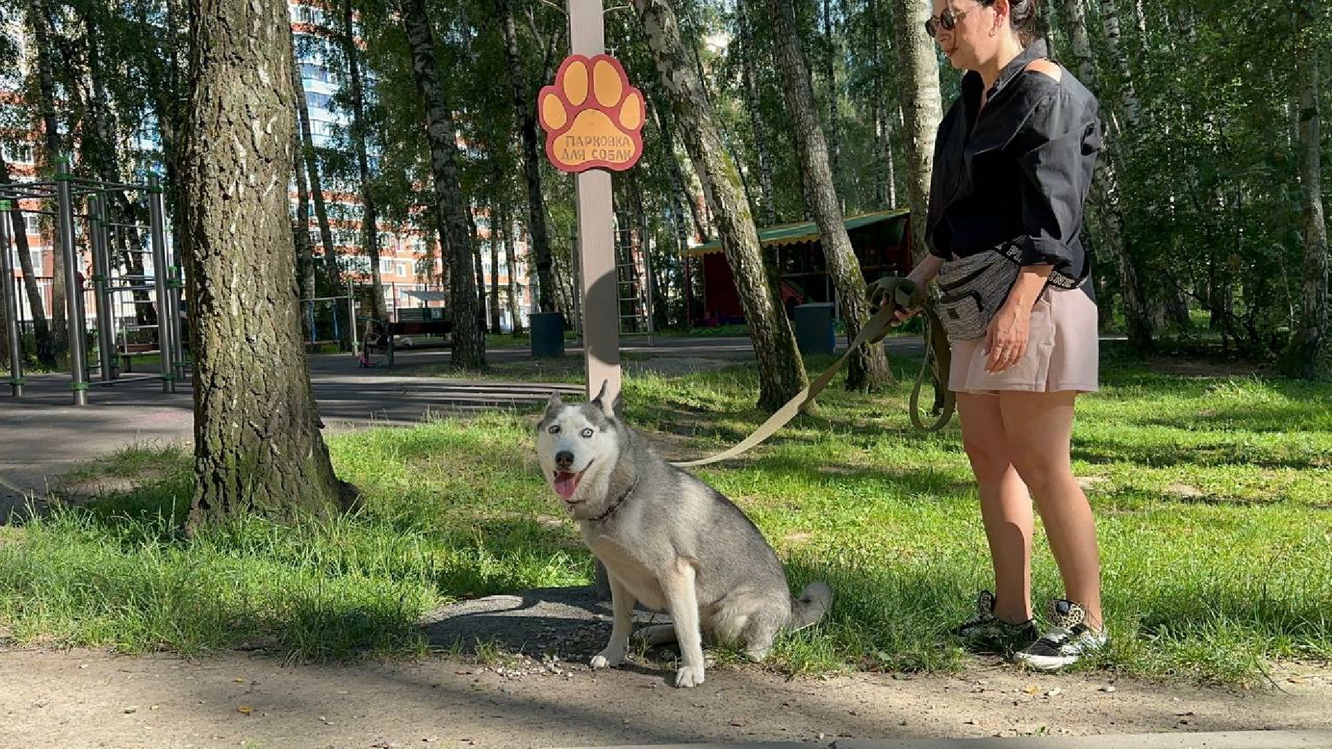 парки, домашние животные, домодедово,