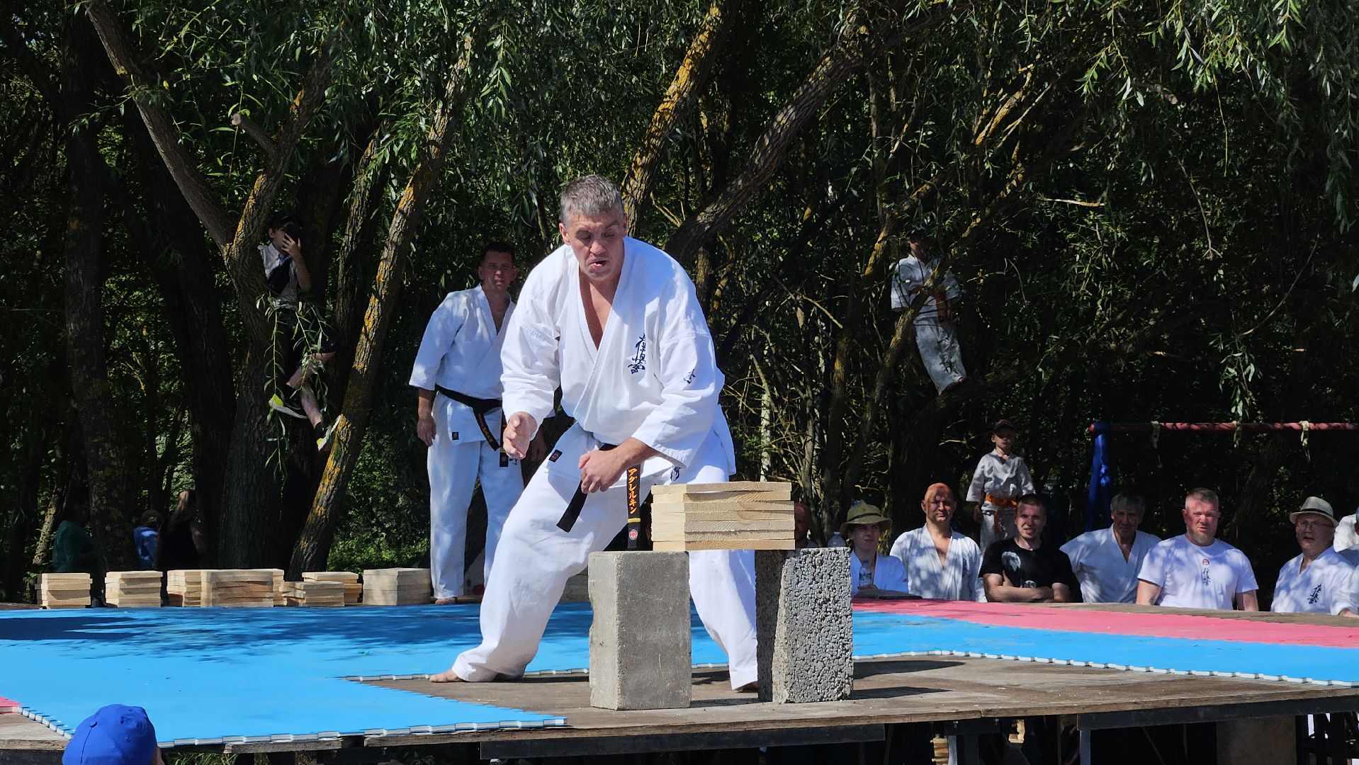 раменский городской округ,карате, спорт,