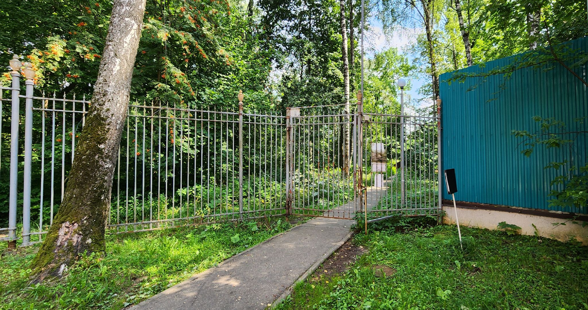 Химки, Образование , Школы,