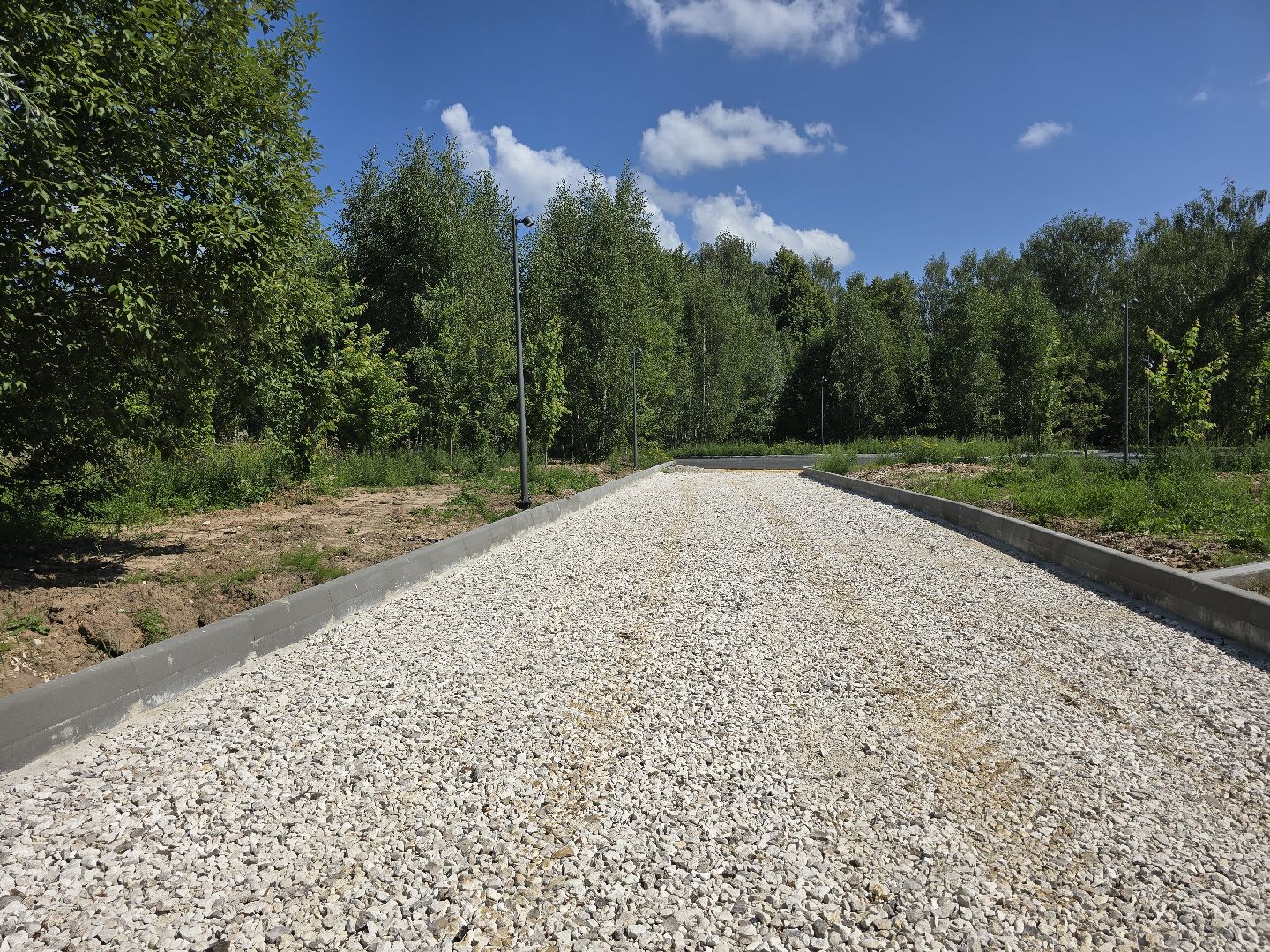 Коломна, благоустройство, парки в лесу,