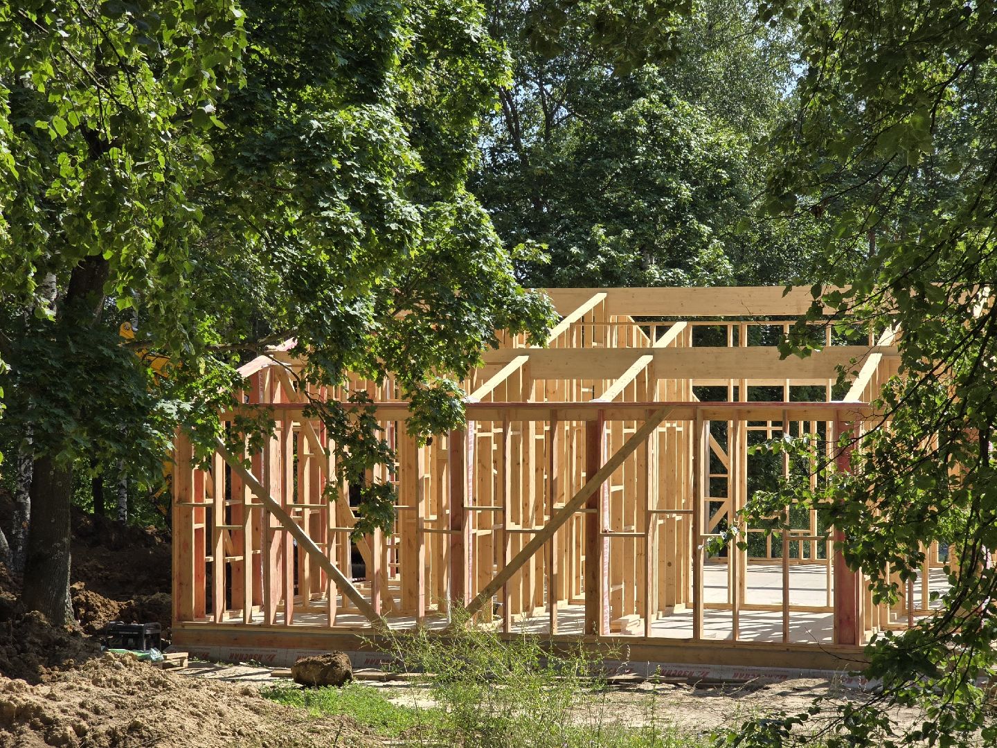 Коломна, благоустройство, парки в лесу,