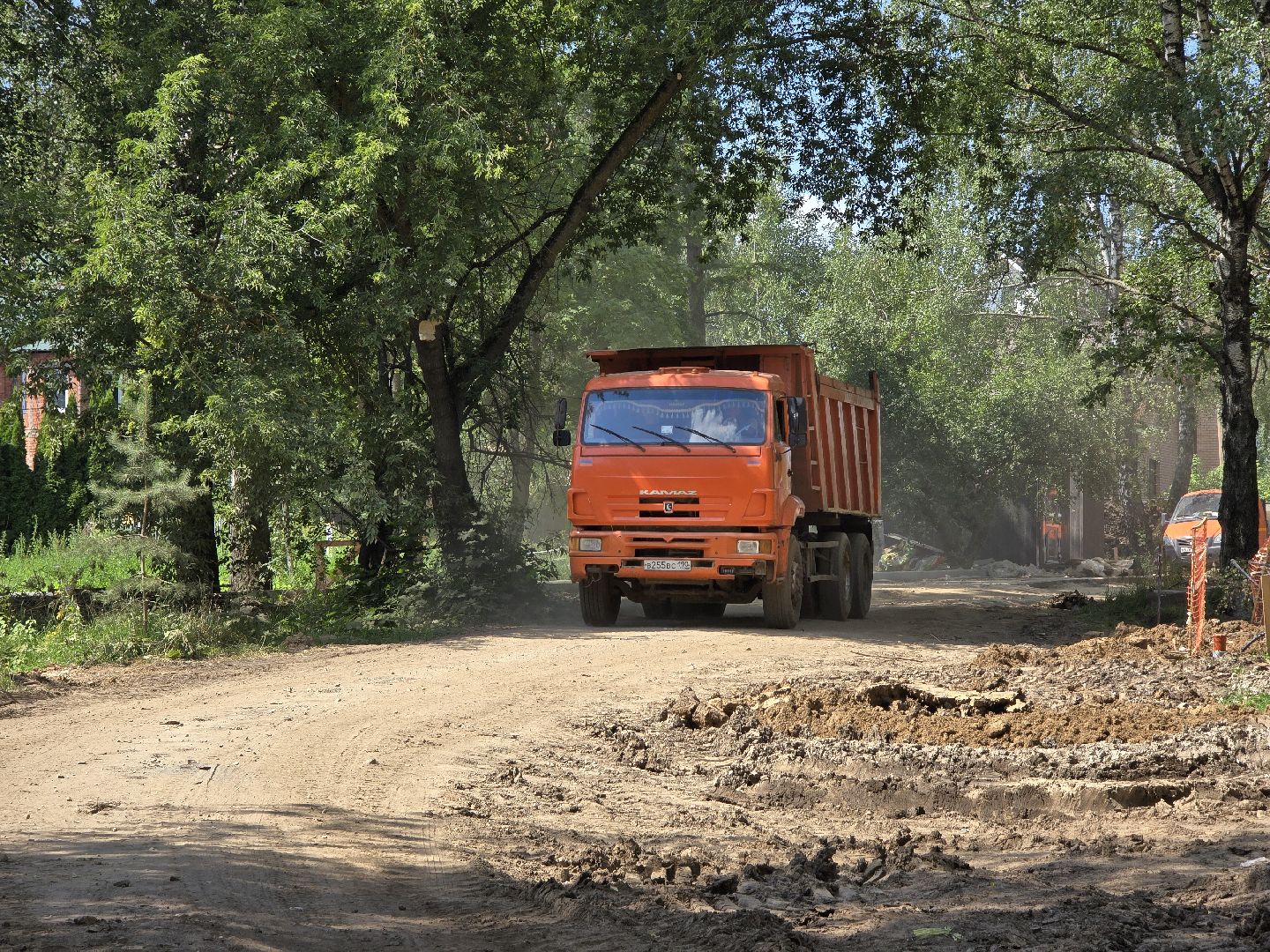 Коломна, благоустройство, парки в лесу,