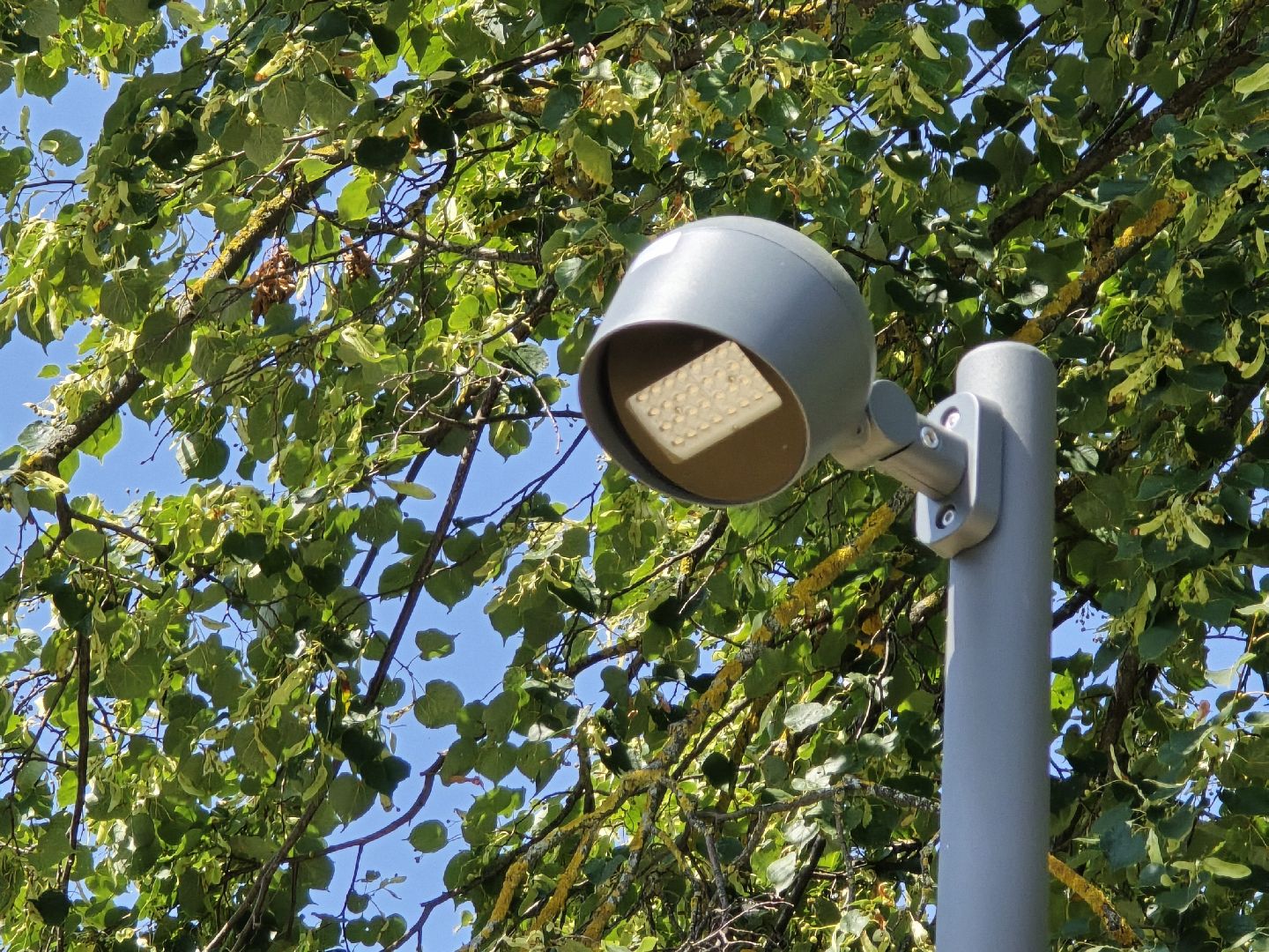 Коломна, благоустройство, парки в лесу,