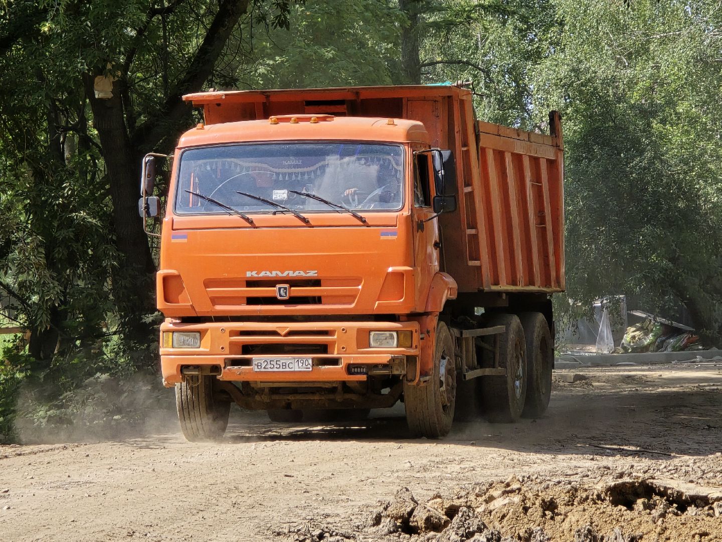 Коломна, благоустройство, парки в лесу,