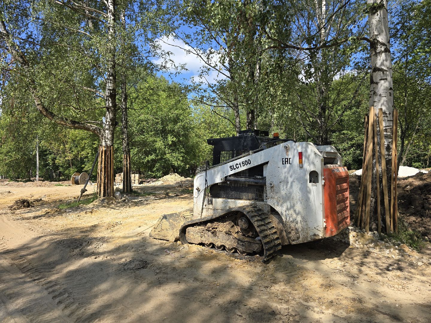 Коломна, благоустройство, парки в лесу,