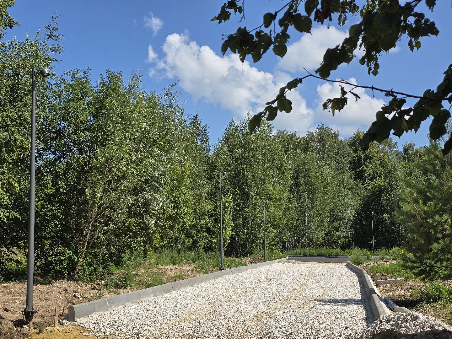 Коломна, благоустройство, парки в лесу,