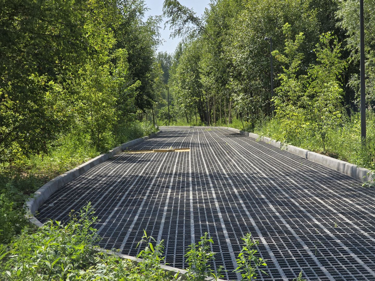 Коломна, благоустройство, парки в лесу,
