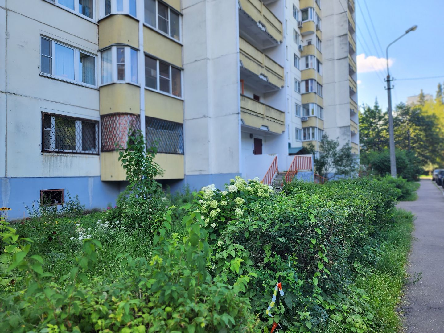 королёв, выездная администрация в королеве , центральный городской парк ,