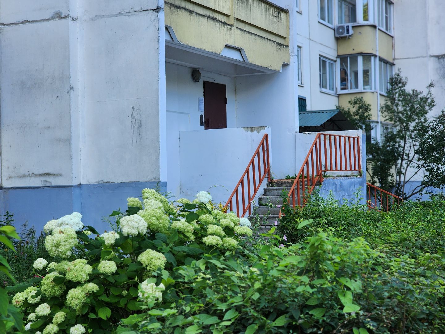 королёв, выездная администрация в королеве , центральный городской парк ,