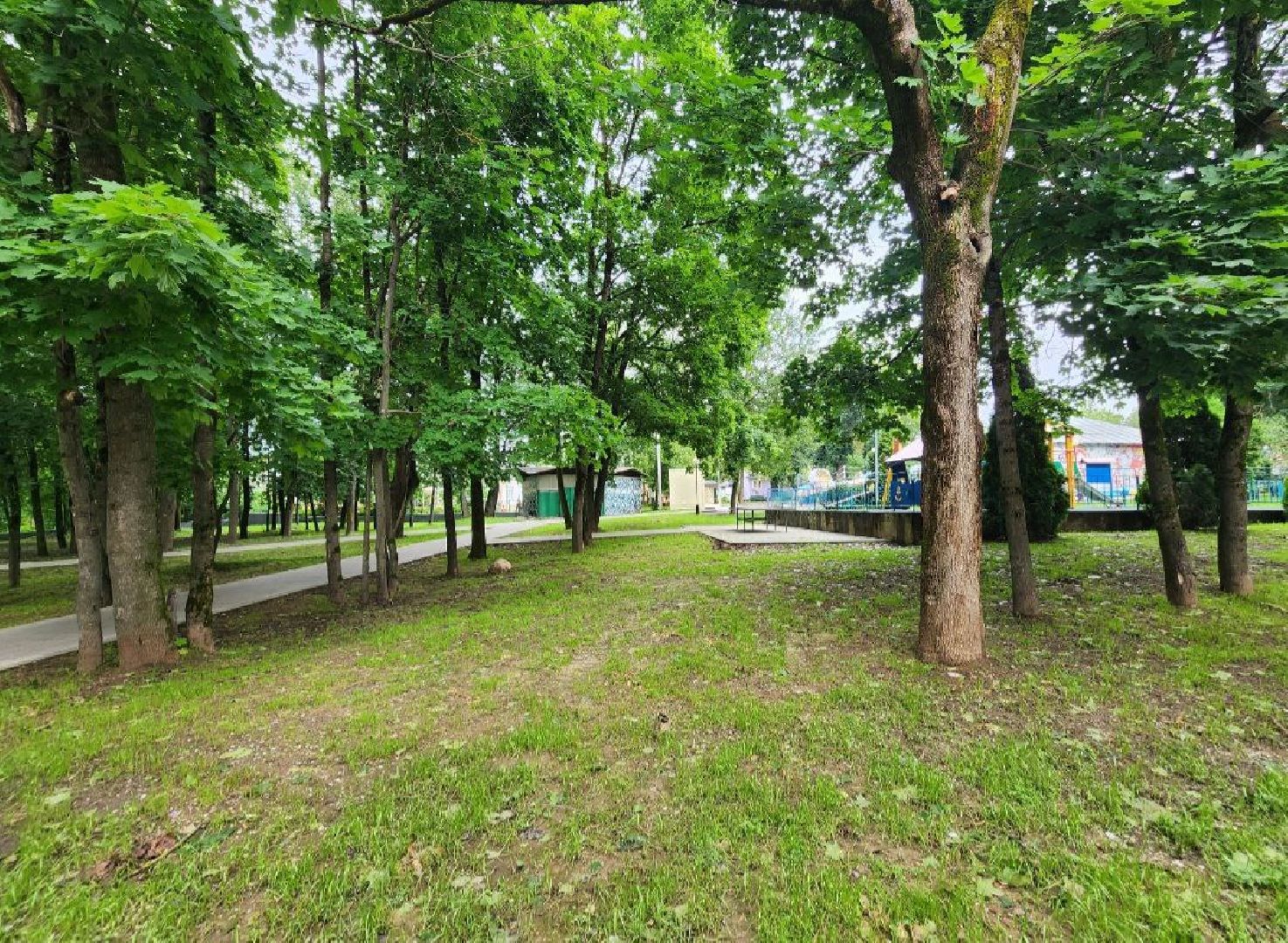 Истра, Парк,  уборка, Благоустройство,