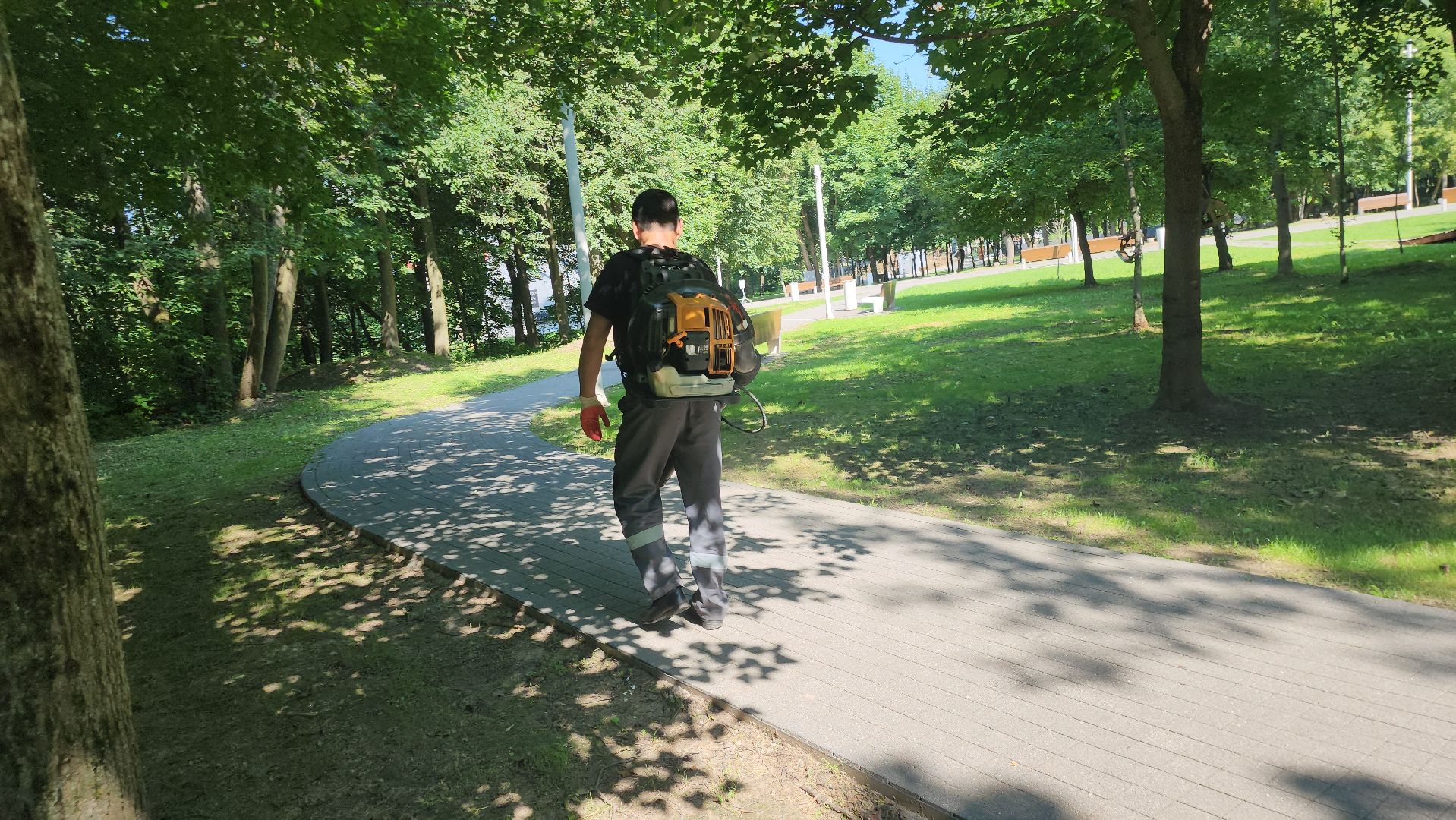 Истра, Парк,  уборка, Благоустройство,