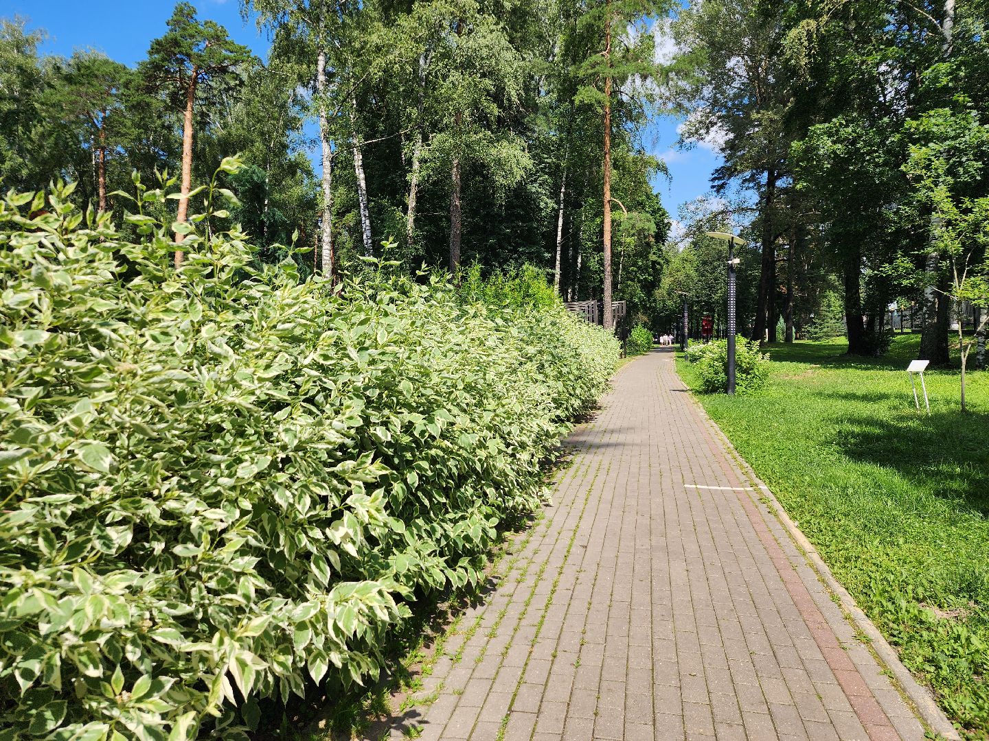 туризм, отдых в подмосковье, центральный парк, ногинск, богородский городской округ,