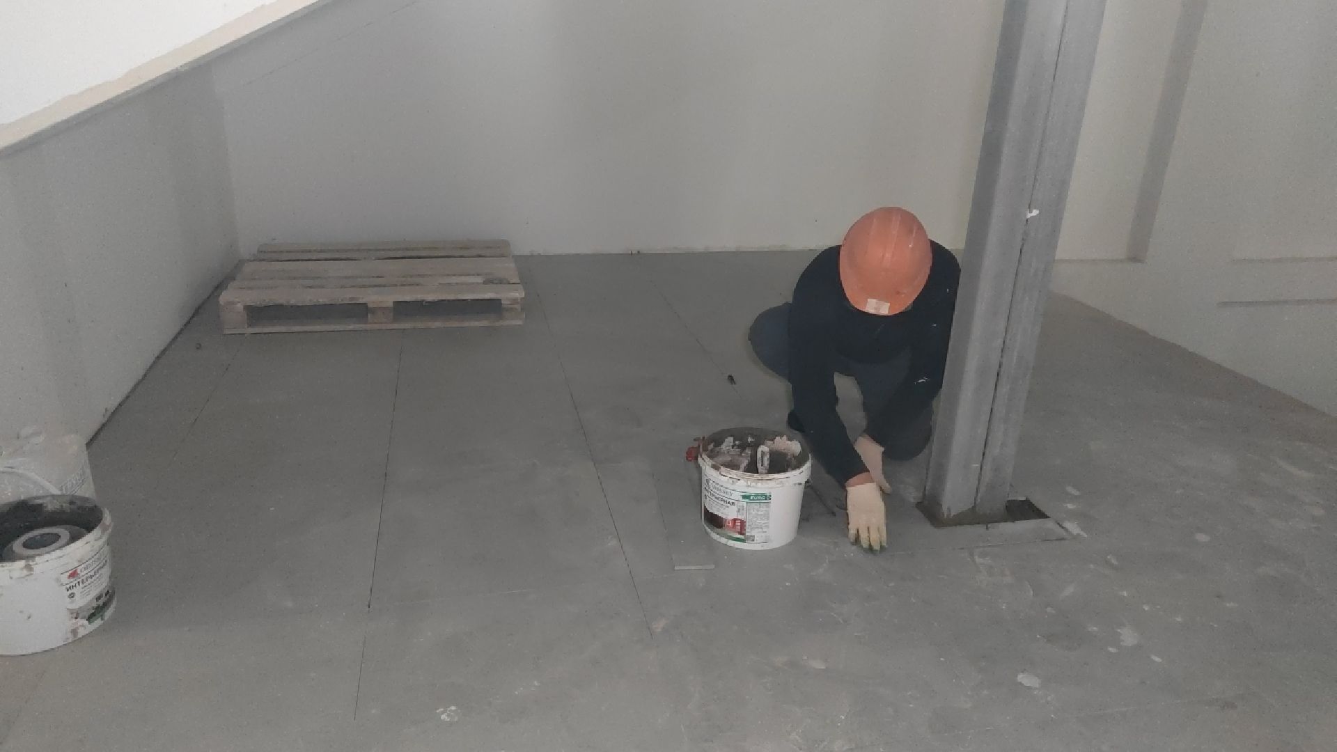 Пушкино, школа, гимназия, образование, Пушкинский округ