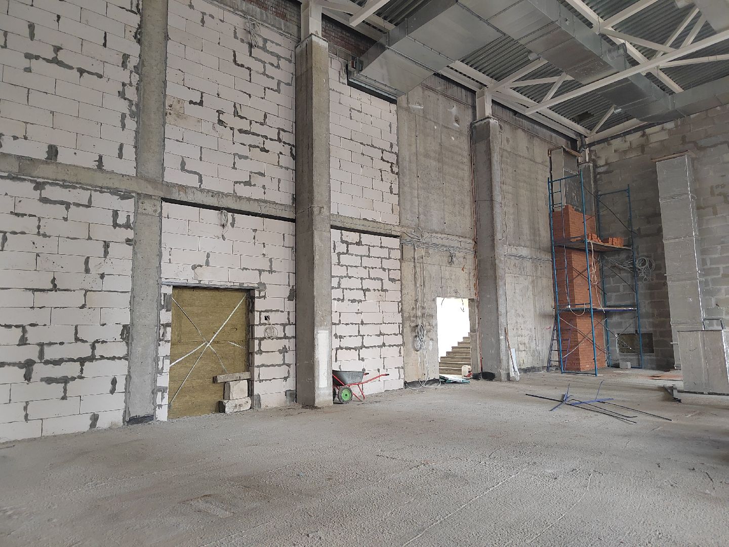 Пушкино, школа, гимназия, образование, Пушкинский округ