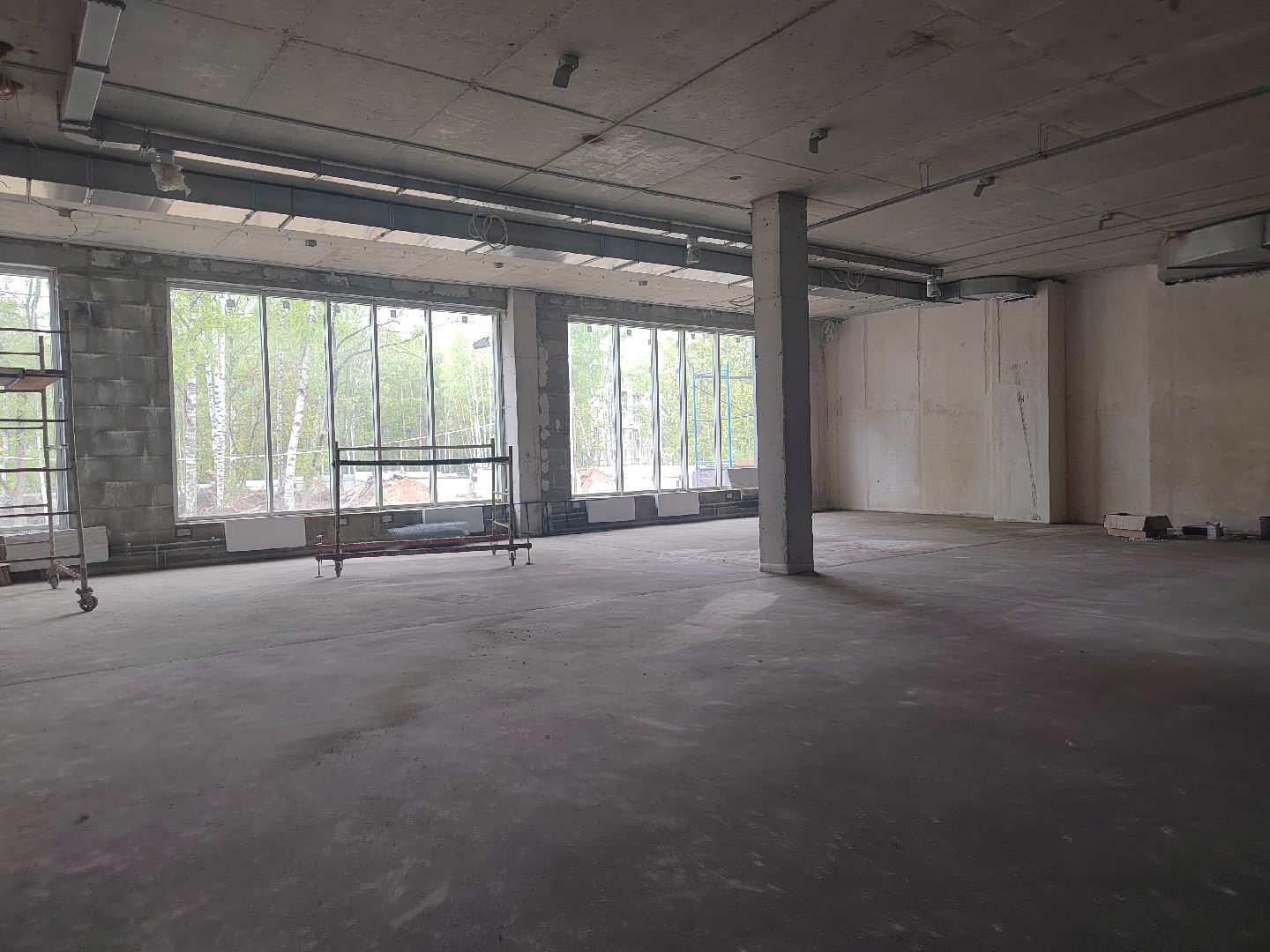 Пушкино, школа, гимназия, образование, Пушкинский округ