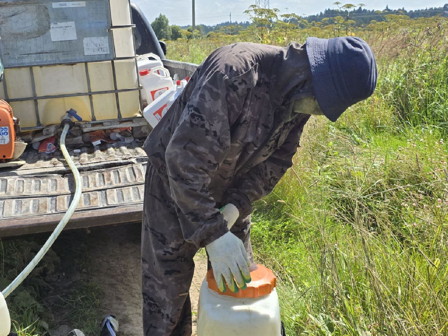 можайск, можайский муниципальный округ, подмосковье, борщевик, борьба с борщевиком, экология, борщевик Сосновского, обращения граждан,