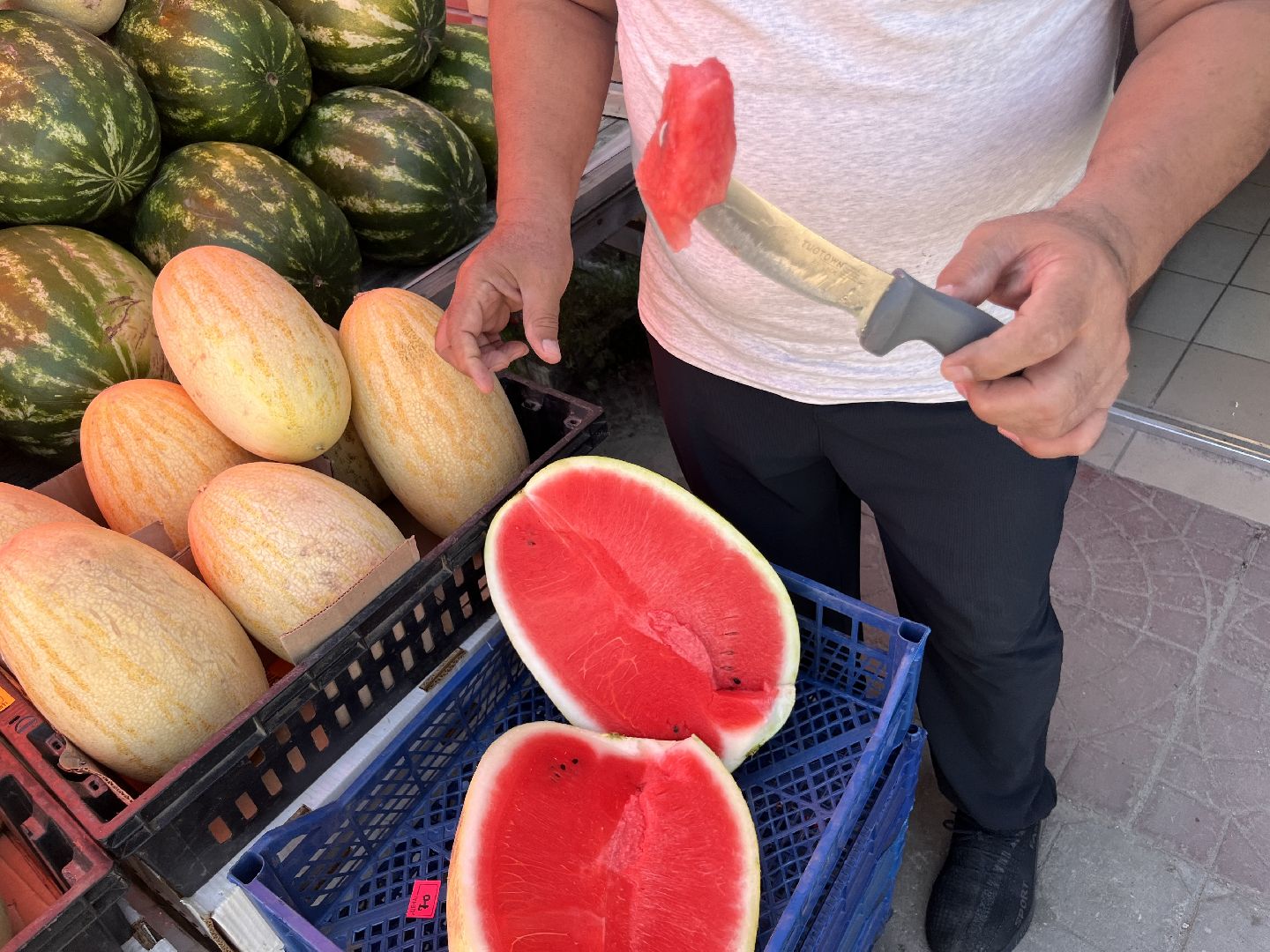 шатура 2025, Шатура, Лето в шатуре, арбуз, арбузный бум,