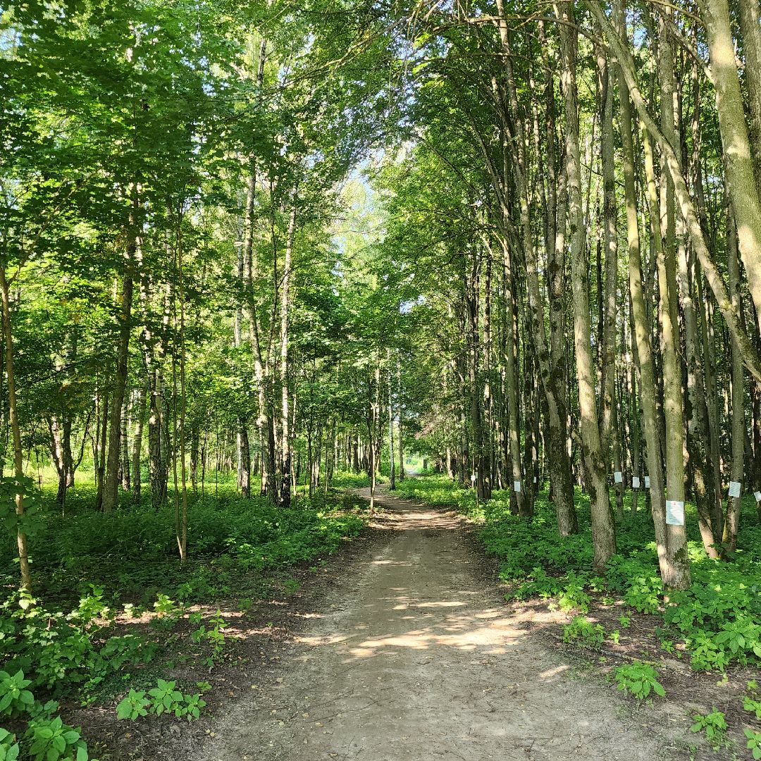Благоустройство , Парки Звенигорода , Выездная администрация , Личный прием ,