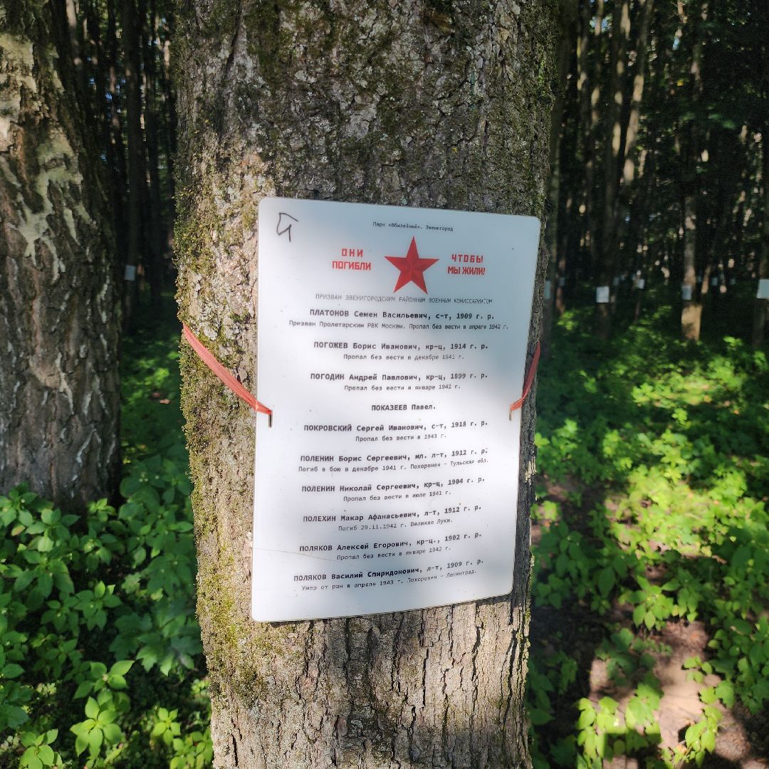 Благоустройство , Парки Звенигорода , Выездная администрация , Личный прием ,