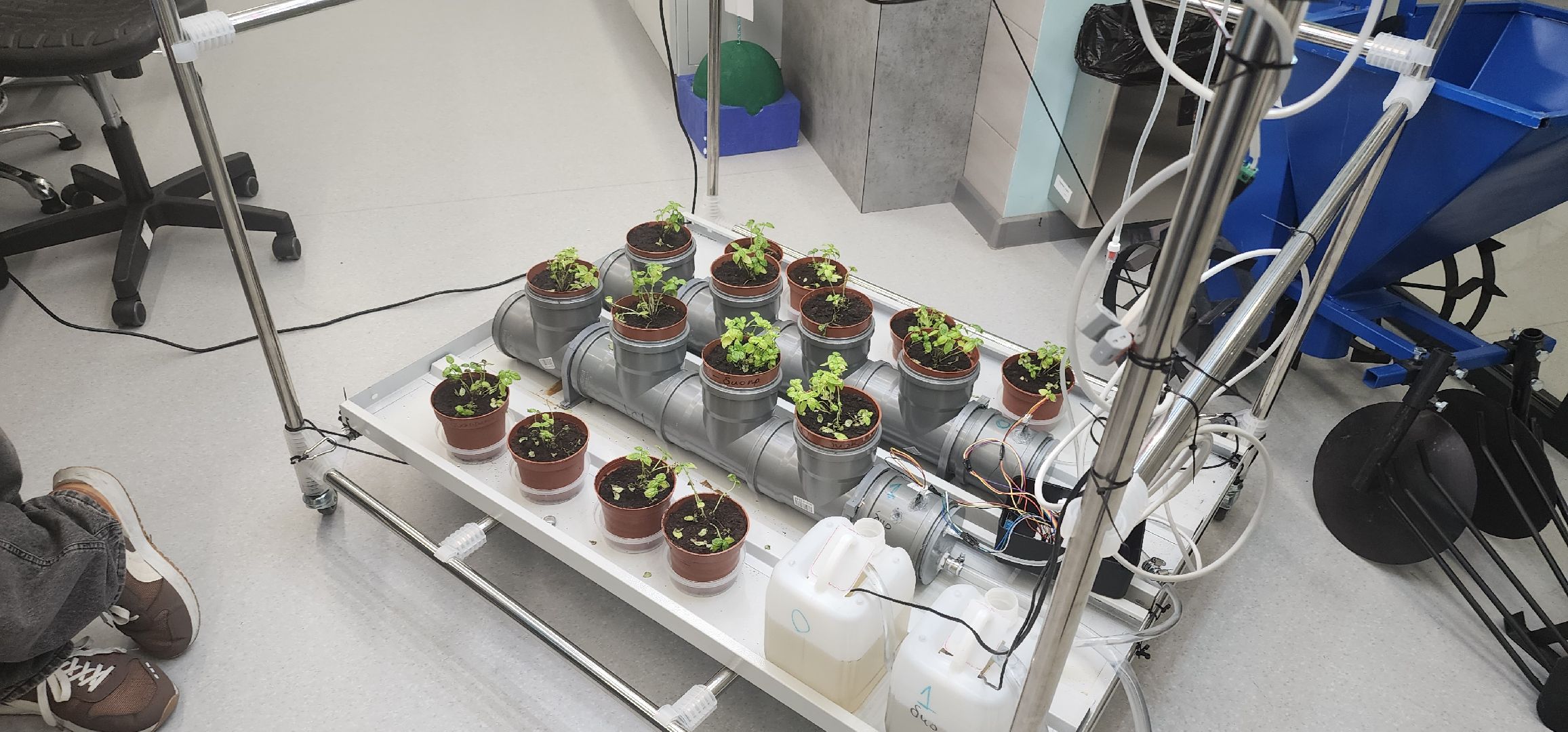 долгопрудный, технопарк физтех-лицея, международная смена, агротехнологии, гидропонная установка, микроклональное размножение растений,растения из пробирки,
