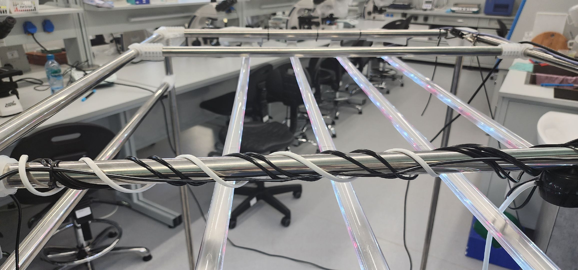 долгопрудный, технопарк физтех-лицея, международная смена, агротехнологии, гидропонная установка, микроклональное размножение растений,растения из пробирки,