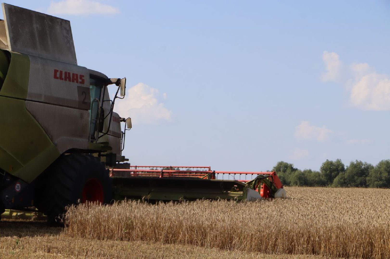 праздник первого снопа,  серебряные пруды, Якимовка, Уборочная 2025,