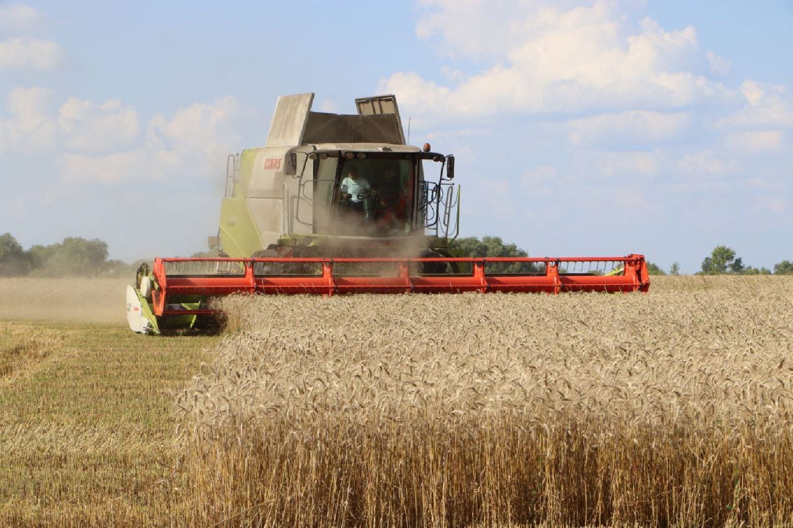 праздник первого снопа,  серебряные пруды, Якимовка, Уборочная 2025,