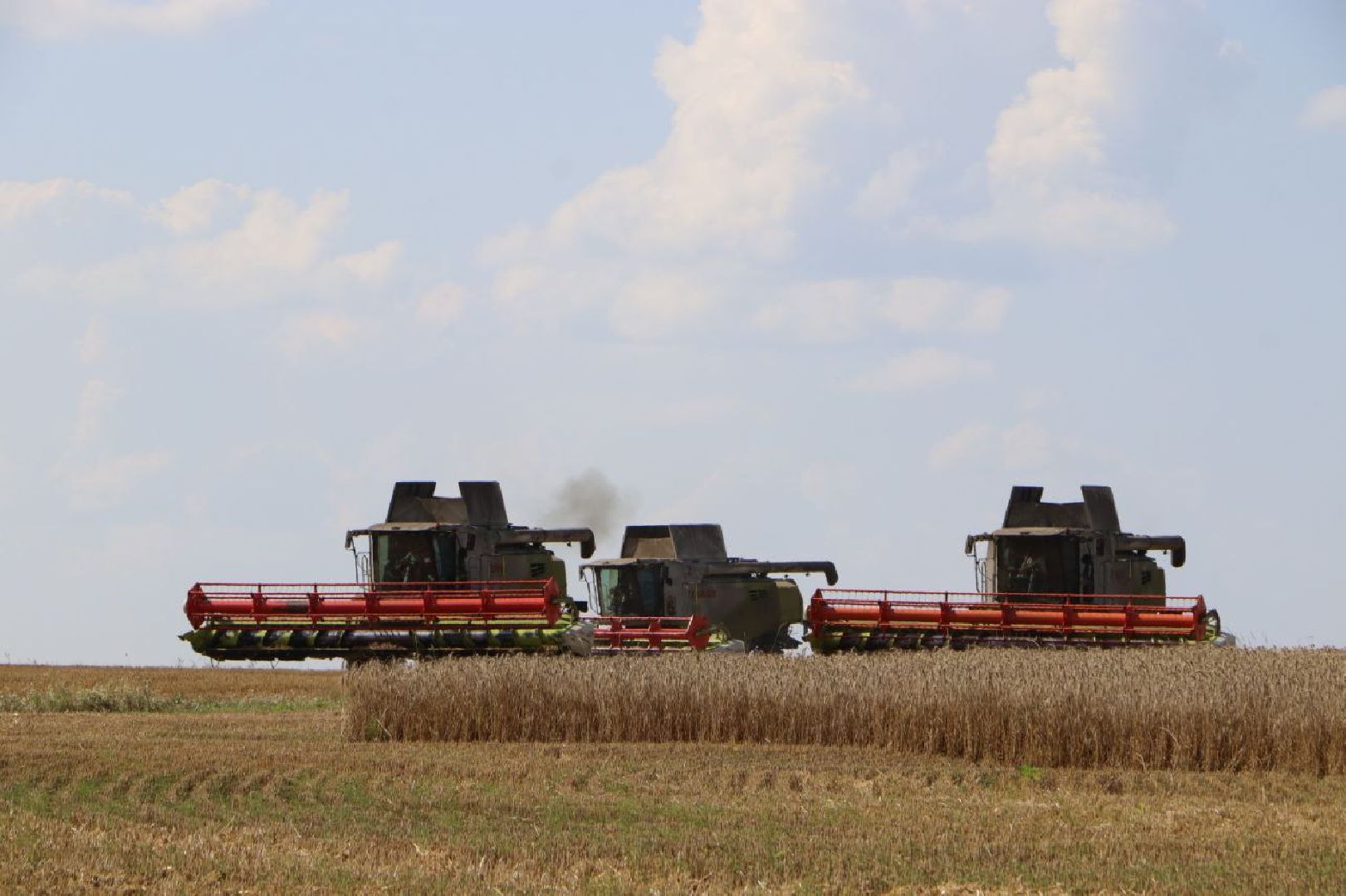праздник первого снопа,  серебряные пруды, Якимовка, Уборочная 2025,