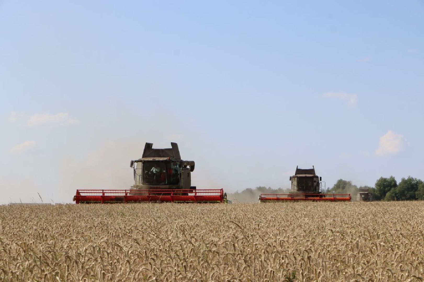 праздник первого снопа,  серебряные пруды, Якимовка, Уборочная 2025,