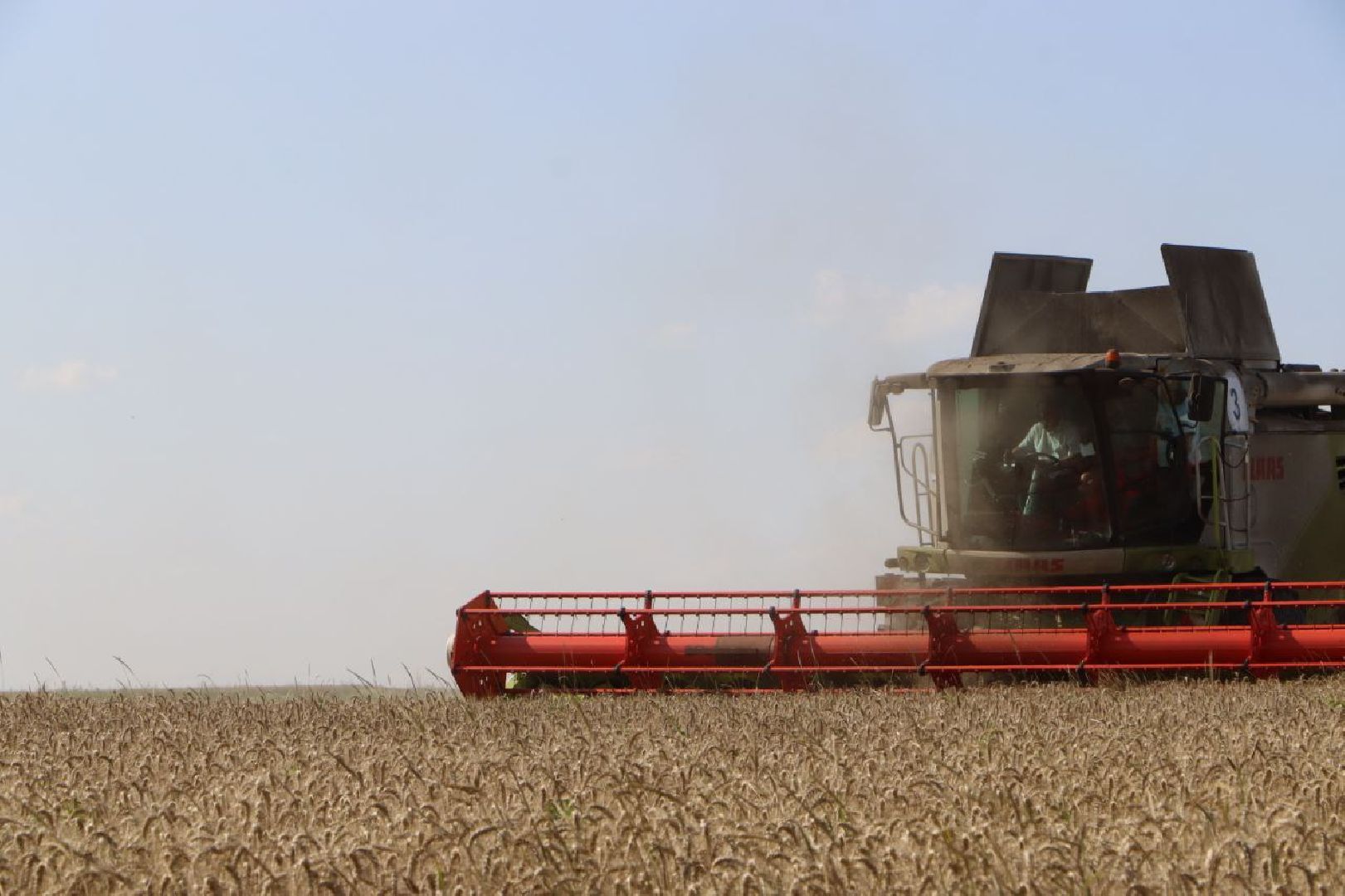 праздник первого снопа,  серебряные пруды, Якимовка, Уборочная 2025,