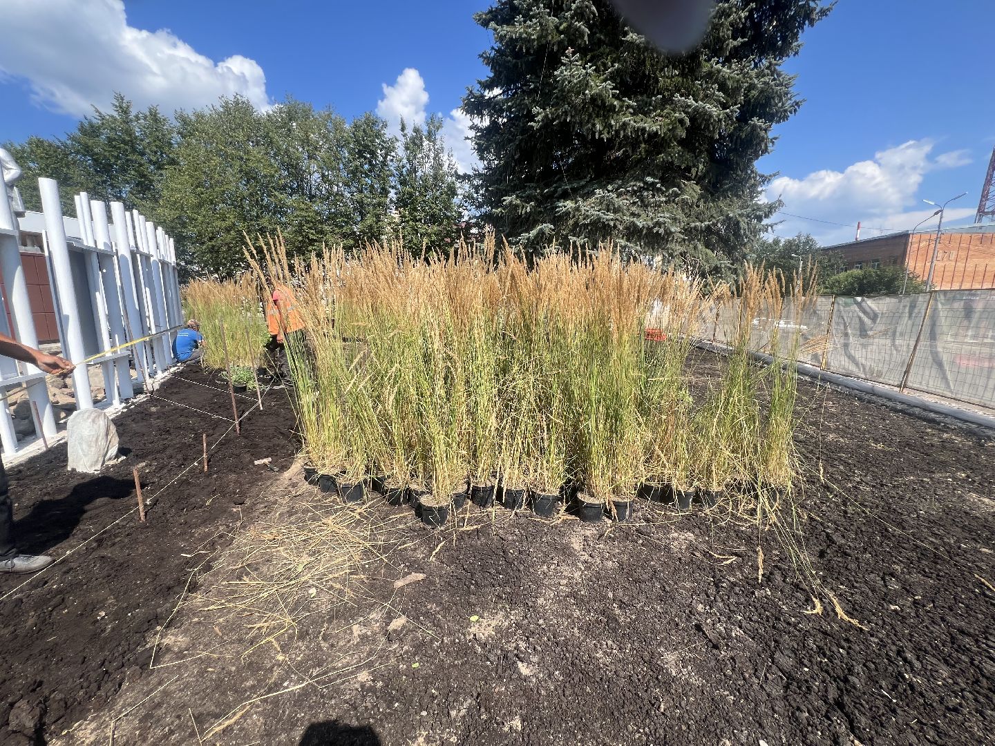 талдомский городской округ, благоустровйство,