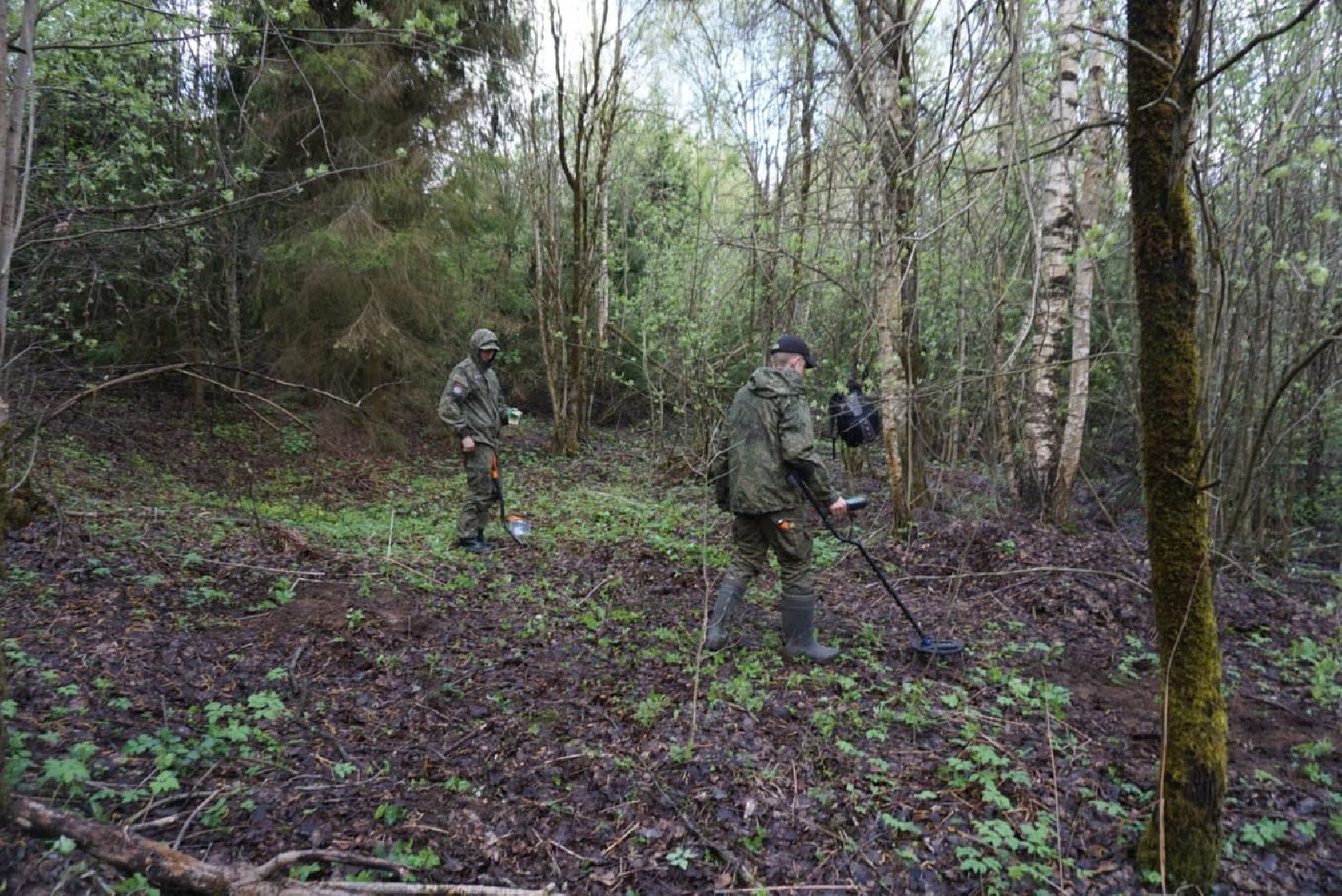 Поисковики, Одинцово, Бушарино, ВОВ