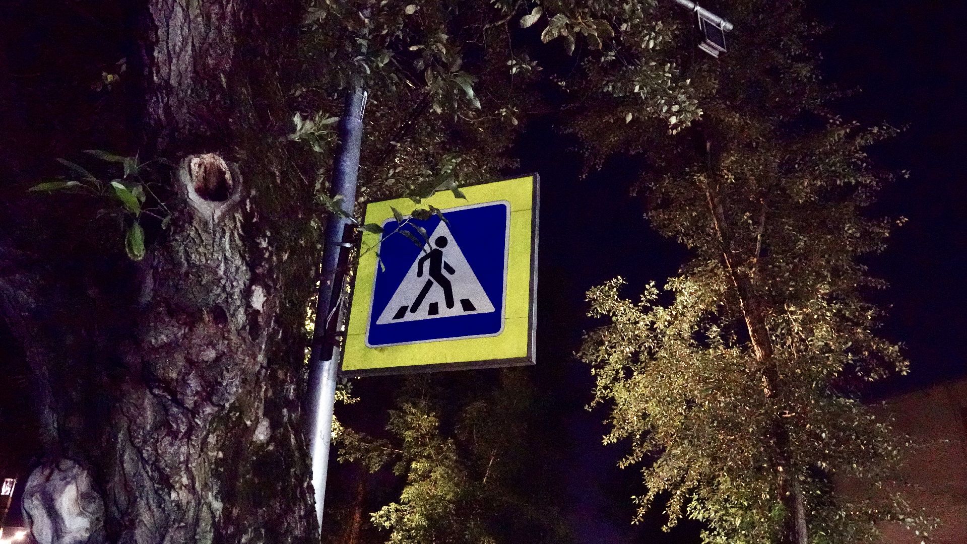 сергиев посад , сергиево-посадский городской округ, безопасность , дороги ,