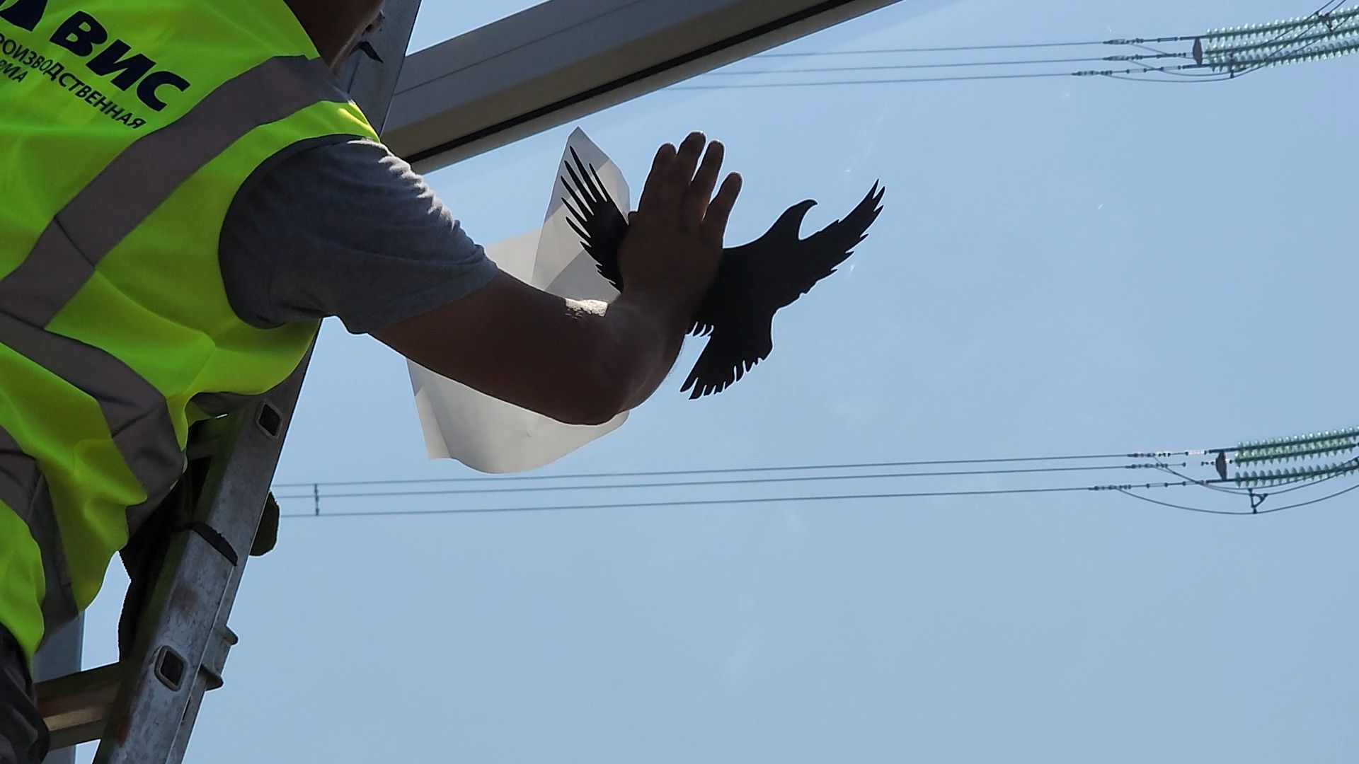 Мытищи, мытищинская хорда, птицы, Экология,