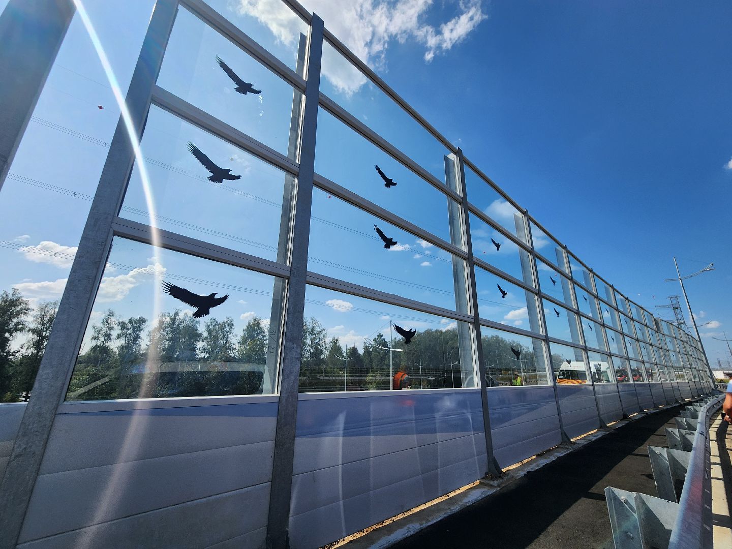 Мытищи, мытищинская хорда, птицы, Экология,