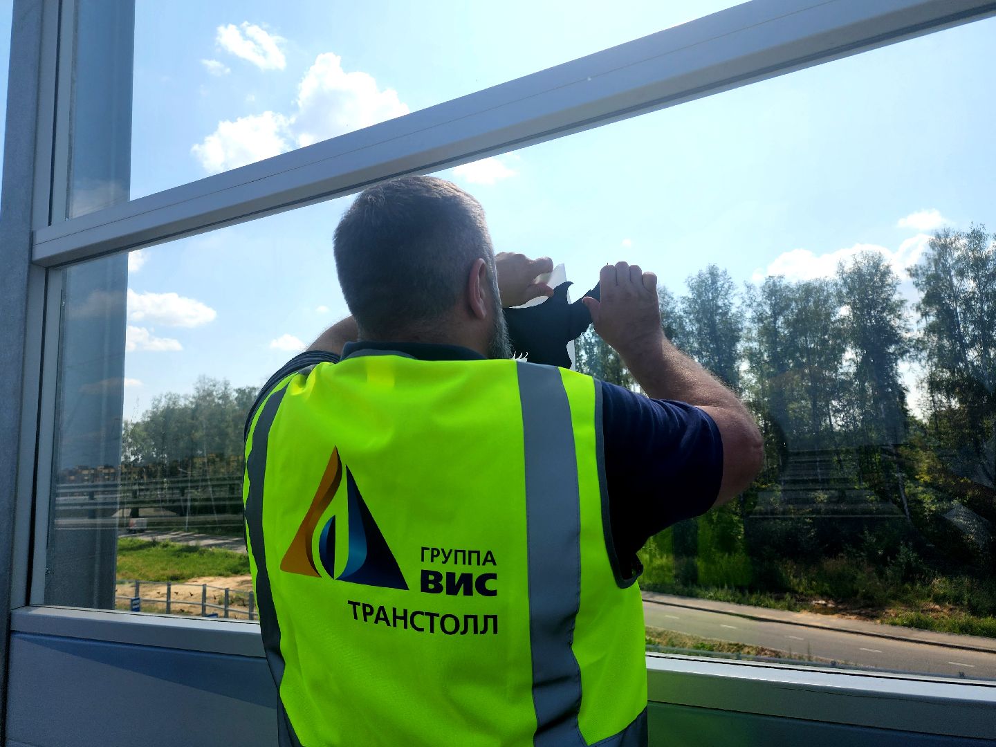 Мытищи, мытищинская хорда, птицы, Экология,