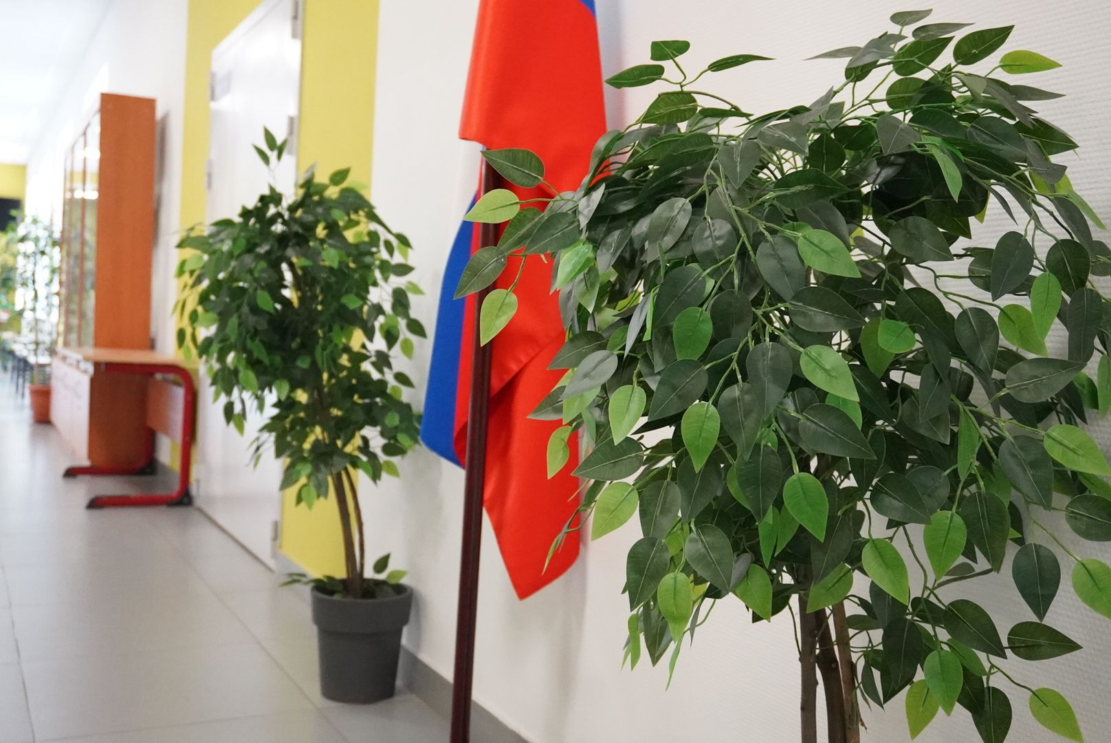 павловский посад ,  школа ,образование,