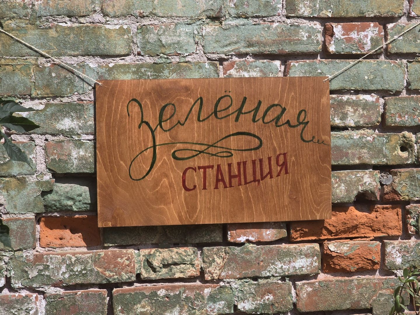 Коломна, обмен растениями,