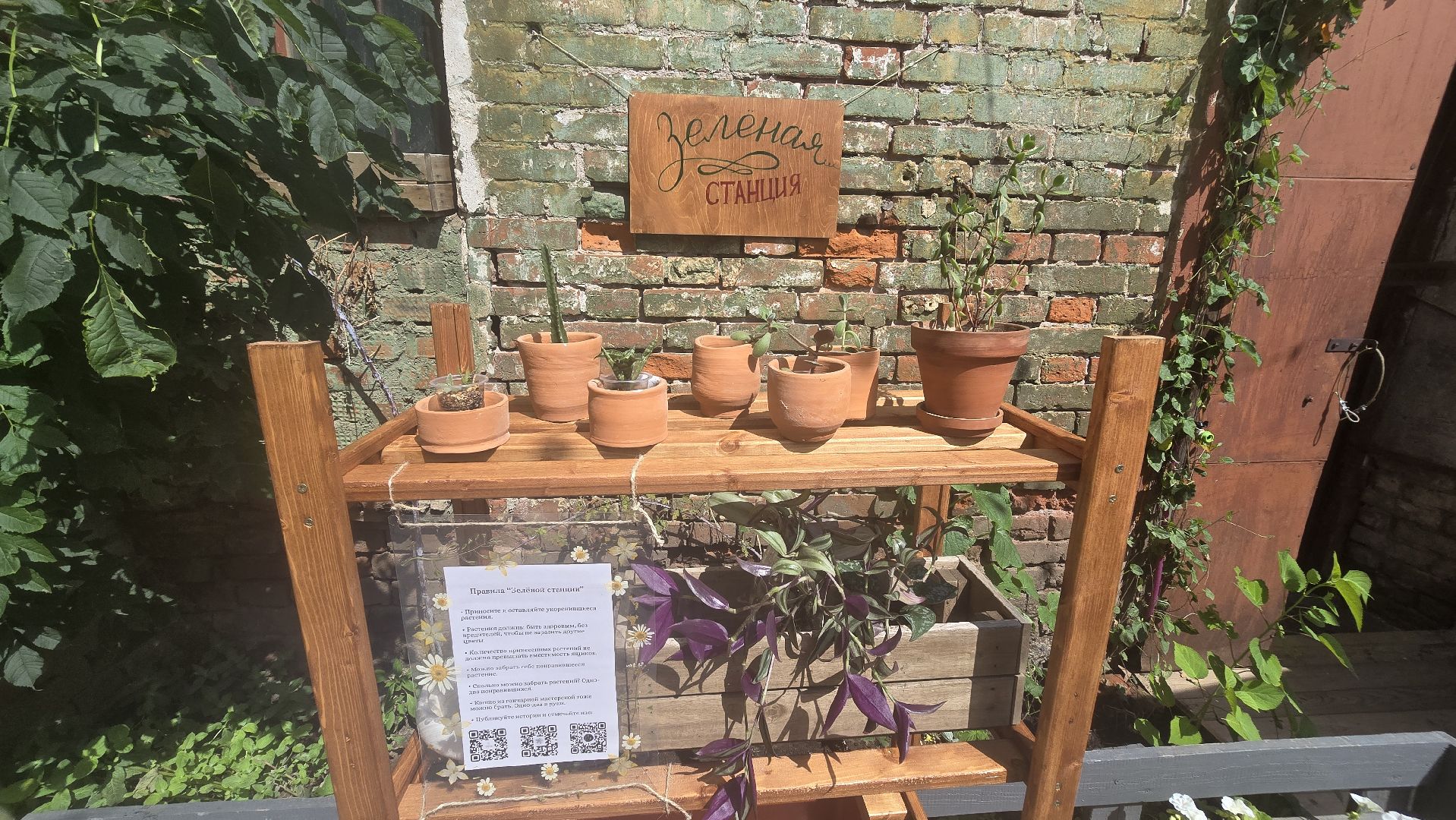 Коломна, обмен растениями,