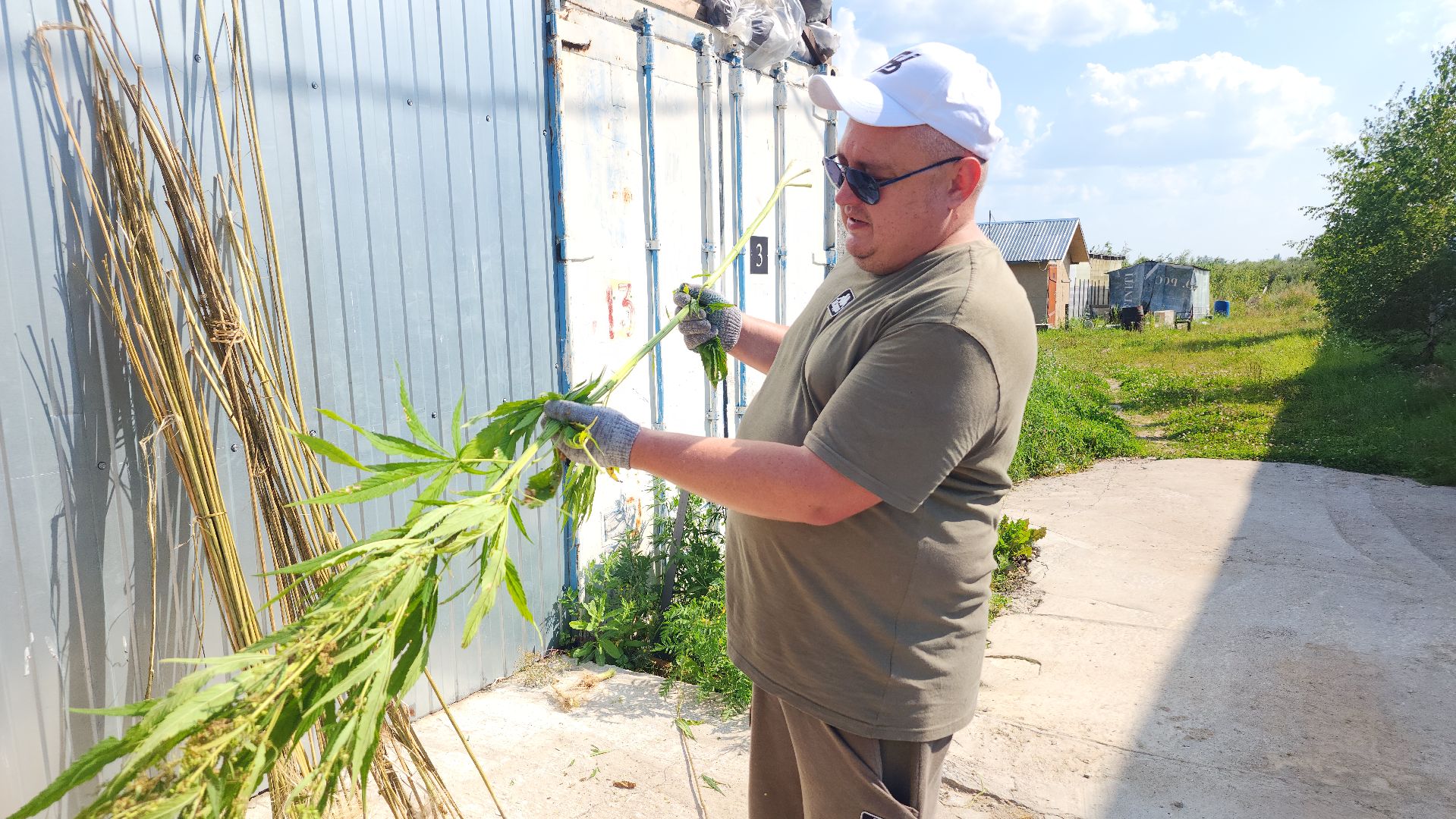 волоколамск, коноплеводство, экономика,