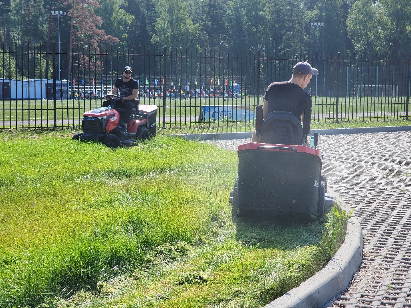 Черноголовка, Газонокосилка, Благоустройство,