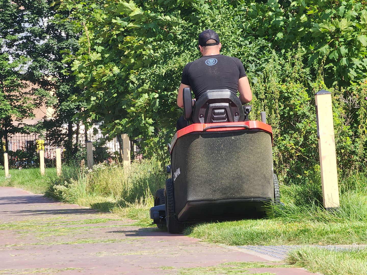 Черноголовка, Газонокосилка, Благоустройство,
