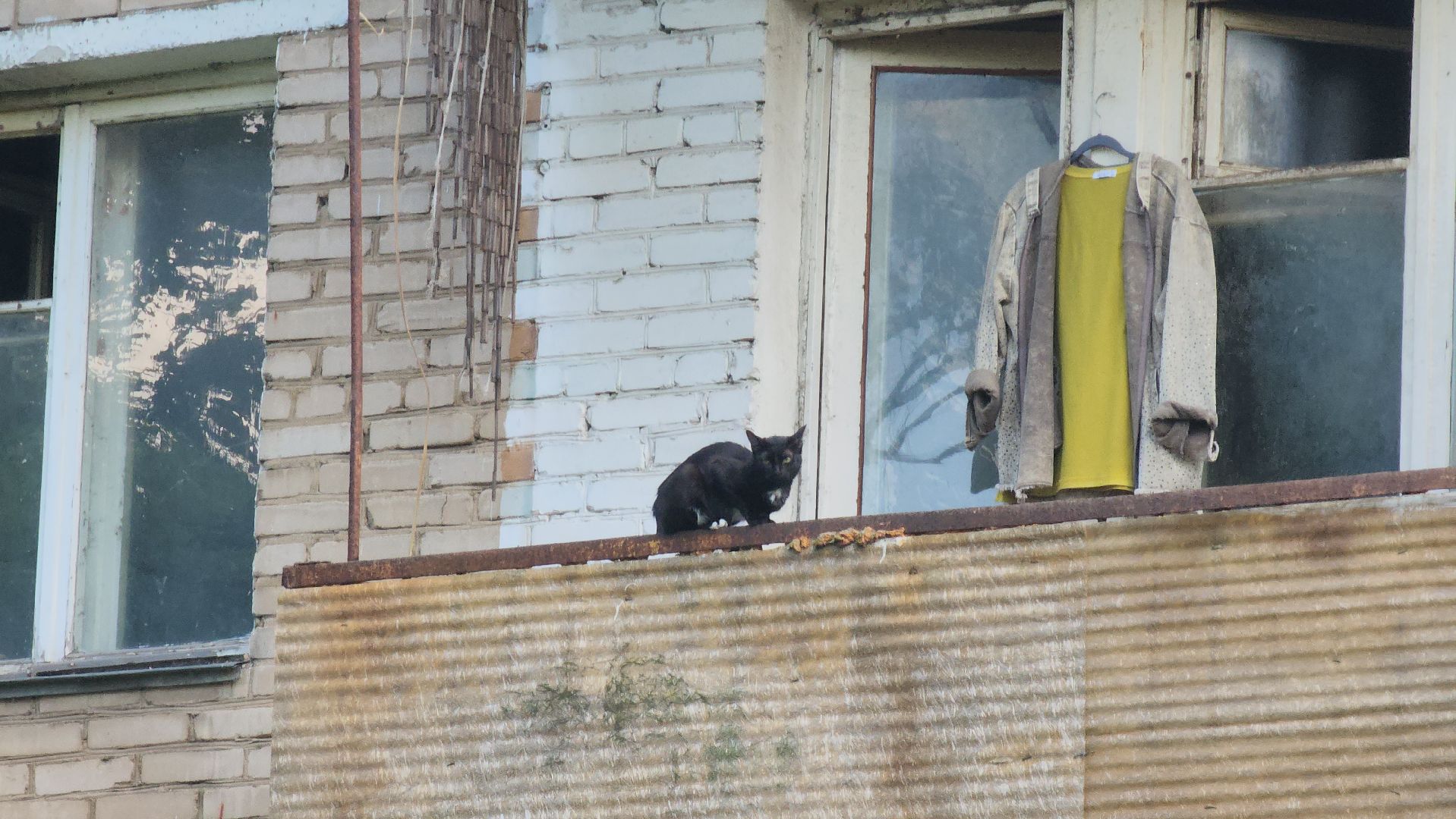 щёлково, взрыв газа, эвакуация жителей,