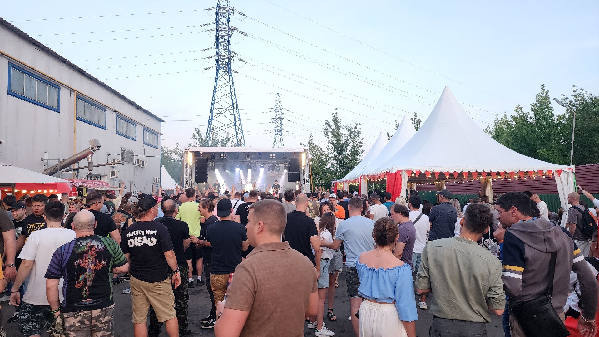 домодедово, культура,  музыка, досуг, группа, племхоз, дуэт, подмосковье, фестиваль,