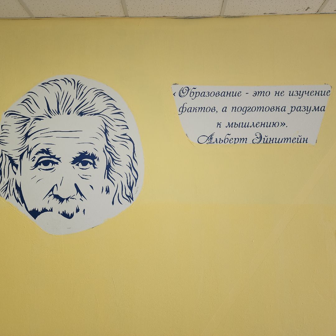 Образование, Ремонт в школах , Благоустройство школ , Общество ,