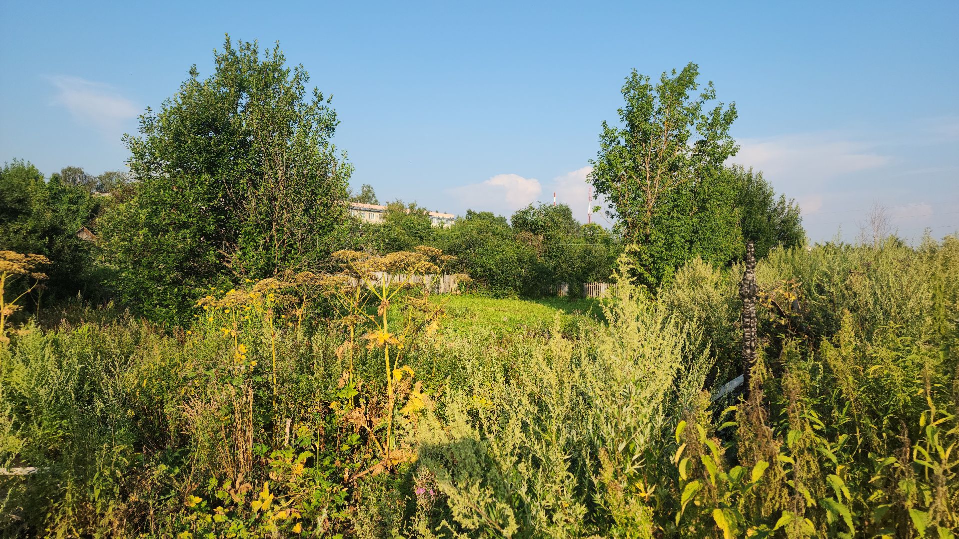 волоколамск,  выездная администрация, благоустройство,
