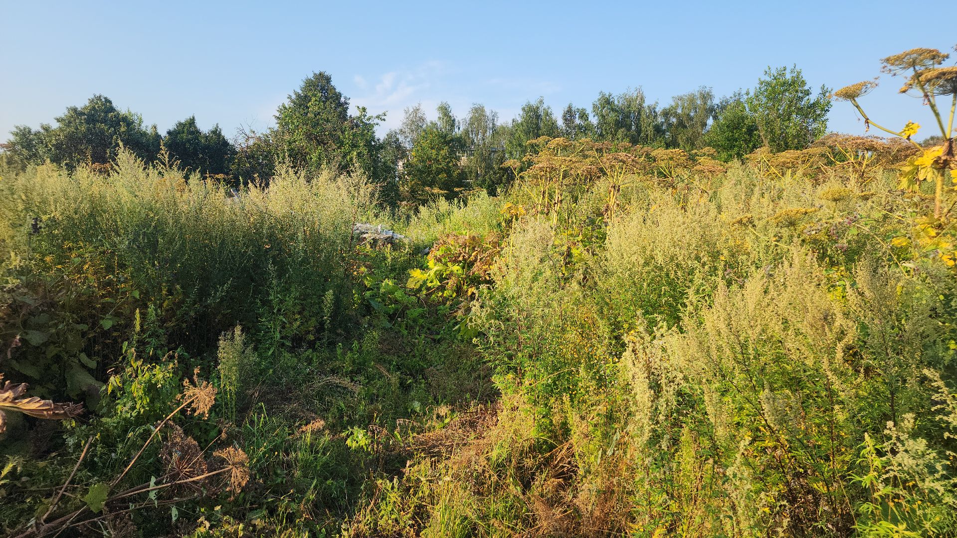 волоколамск,  выездная администрация, благоустройство,