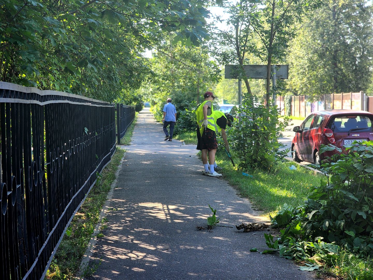 дубна, благоуйстройство, обрезка кустов, санитарная стрижка,