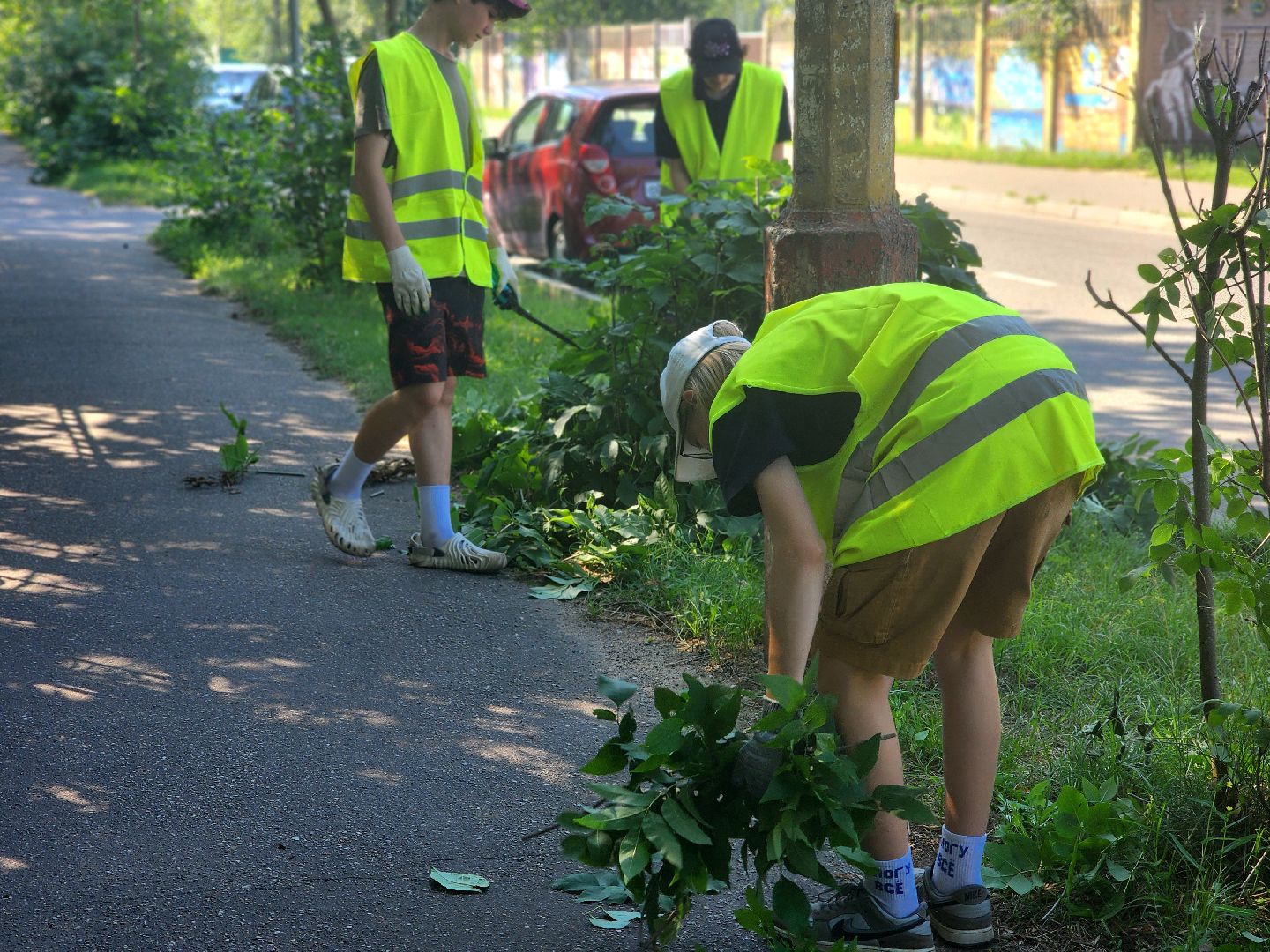 дубна, благоуйстройство, обрезка кустов, санитарная стрижка,