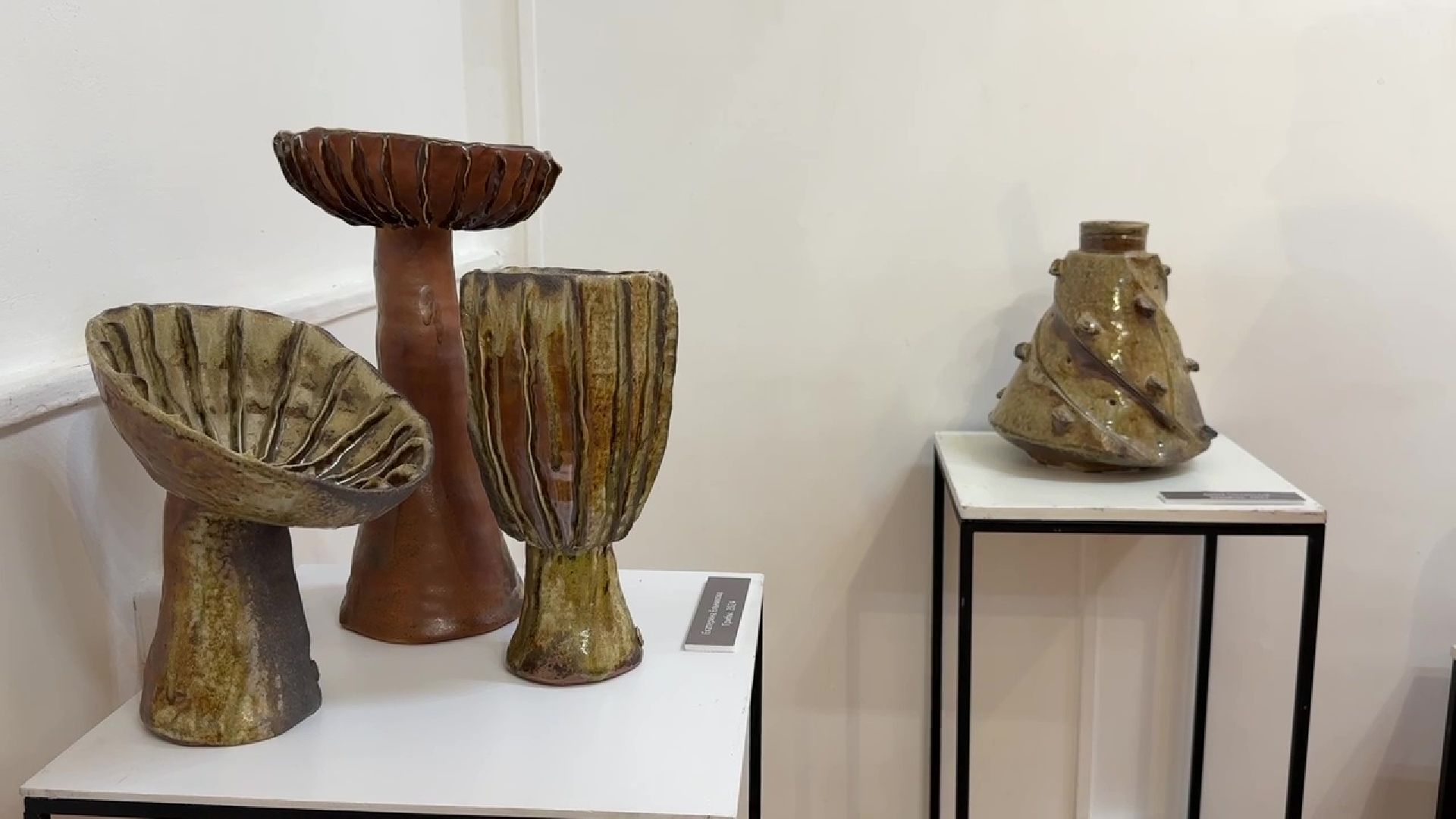 Реутов, выставка, музейц,  керамика, обжиг,